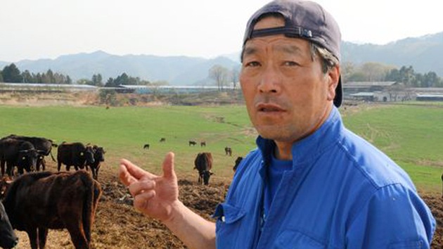 Un granjero arriesga su vida para salvar a vacas radiactivas cerca de Fukushima