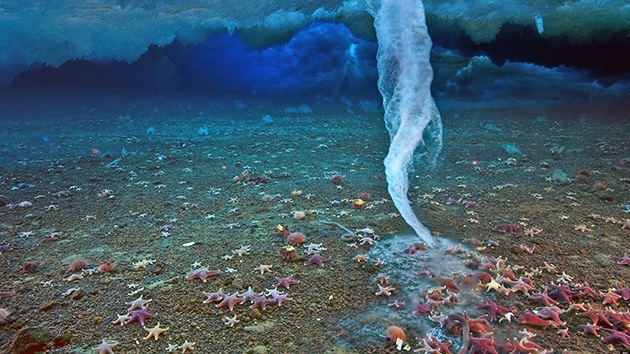 Columnas de hielo en el océano polar: ¿Kilómetro cero de la vida en la Tierra?