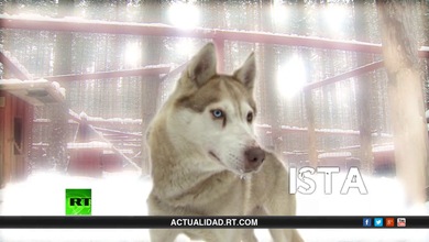 La lista de Erick: Un frío de perros