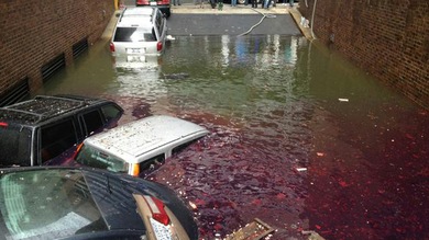 Tras Sandy, una marea de excrementos inundó Nueva York