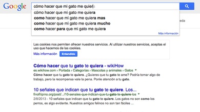Las búsquedas más absurdas en Google: ¿Cómo hacer que mi gato me quiera?