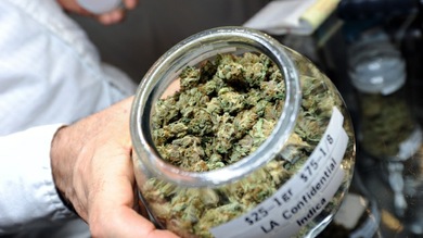 Nuevo paso de Uruguay en la legalización de la marihuana: Los médicos podrán recetarla