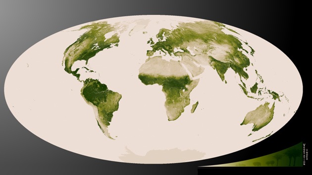 Video, Fotos: La NASA 'pone verde' a la Tierra con el mapa más completo de su vegetación