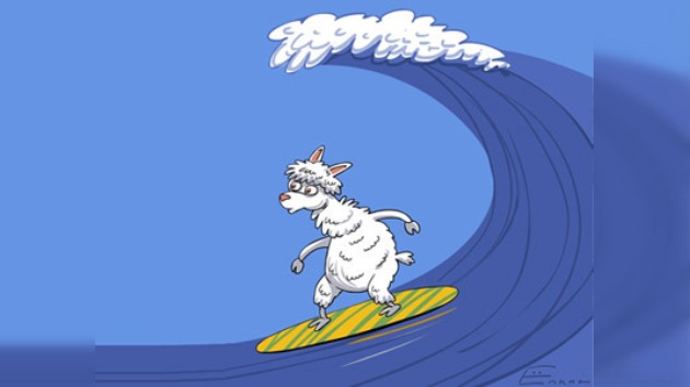 Alpaca surfista domina las olas del mar y genera oleadas de críticas