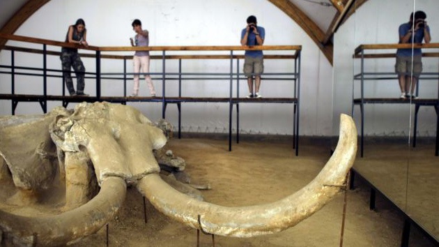 Serbia halla una mina de huesos de mamut