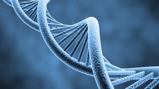 Sensación científica: hallan un segundo código genético en el ADN