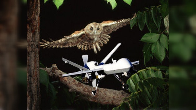 Desarrollan un avión drone capaz de volar como un pájaro