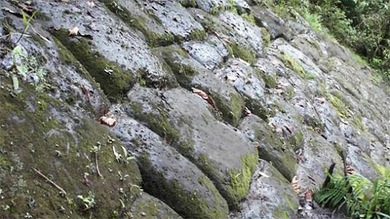 Video: Encuentran en las selvas de Ecuador la 'Ciudad Perdida de los Gigantes'
