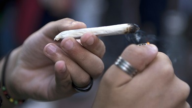 Científicamente probado: La marihuana lleva a las células cancerígenas al suicidio