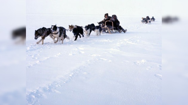 Yakutia abre la temporada de giras turísticas en trineos tirados por perros