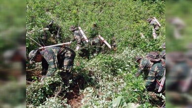 Brasil y EE. UU. ayudarán a Bolivia a localizar por satélite plantaciones ilegales de coca