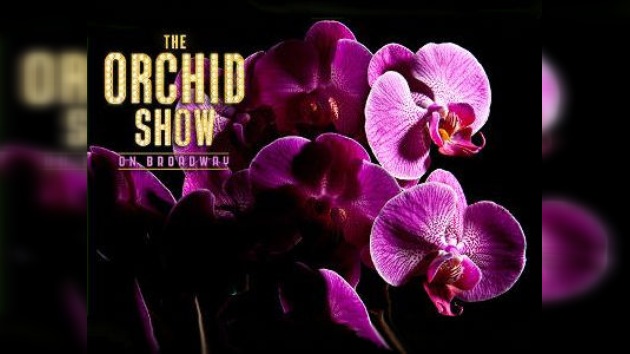 Un cóctel y melodías de Broadway entre orquídeas en Nueva York