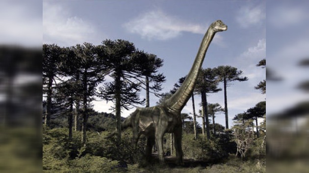 Chile ahora tiene su propio dinosaurio