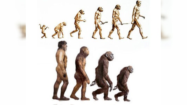 ¿Evolución o involución?: hallazgos de científicos rusos cuestionan la teoría de Darwin