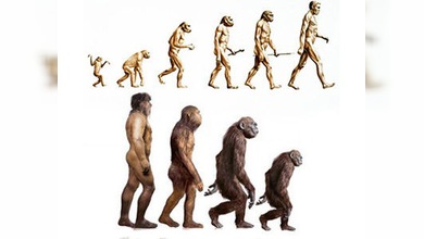 ¿Evolución o involución?: hallazgos de científicos rusos cuestionan la teoría de Darwin