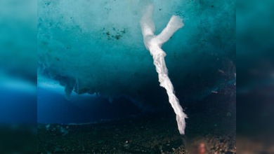 El dedo asesino del dios hielo