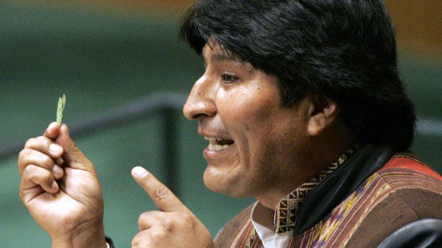 Exportación de coca, nueva ambición de Morales en la ONU