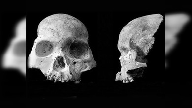 ¿Una cueva china guarda los secretos de una especie humana desconocida?