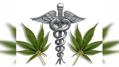Las capacidades curativas de la marihuana