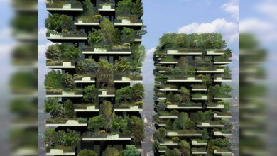 La arquitectura moderna se va por las ramas