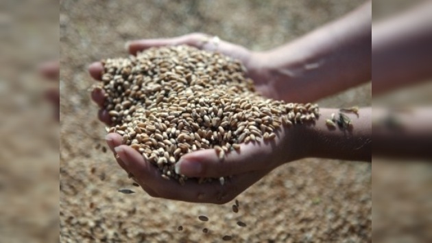 Rusia entrega la segunda partida de trigo gratuito a Managua