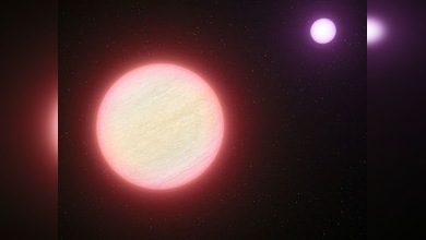 Hallada la estrella más fría del Universo