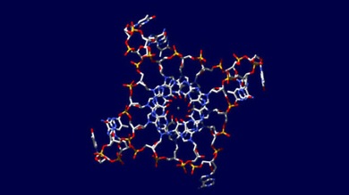La hélice cuádruple del ADN podría ser clave para el combate contra cáncer