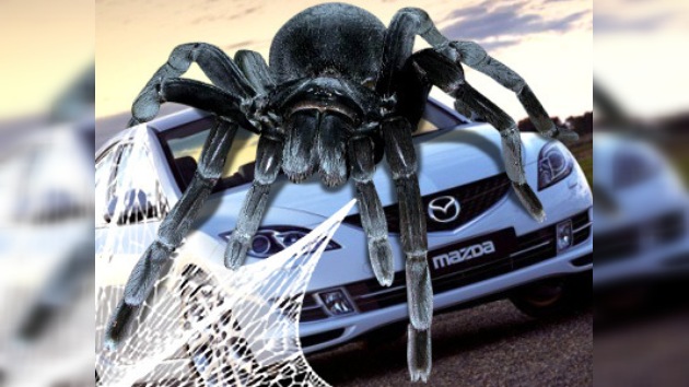 Mazda revisa 52.000 vehículos por culpa de telas de araña
