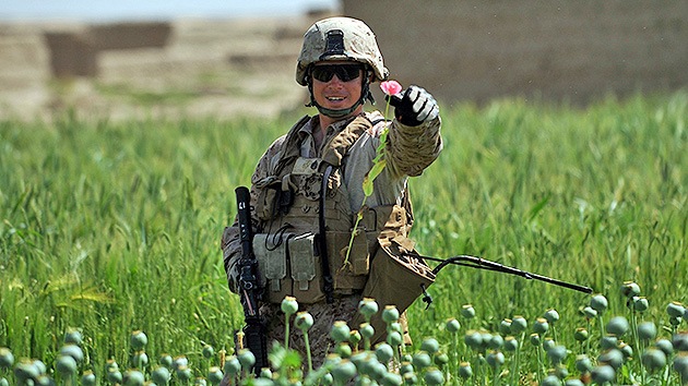 Putin: Las fuerzas internacionales no consiguen erradicar la droga en Afganistán