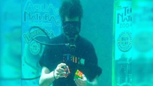 Un español resolvió dos cubos de Rubik en un acuario con seis tiburones