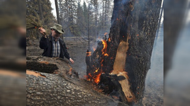 Crece el número de incendios forestales en diferentes partes de Rusia