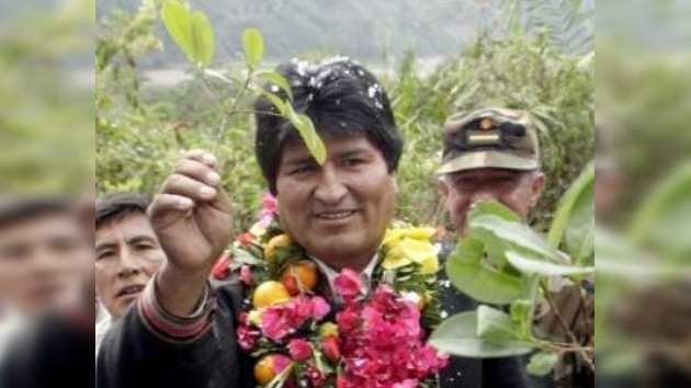 Evo Morales propone legalizar siembra de coca en Bolivia