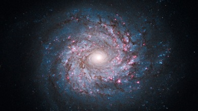 Mayor descubrimiento de astrofísica: Captan ondas causadas por expansión del Universo tras Big Bang