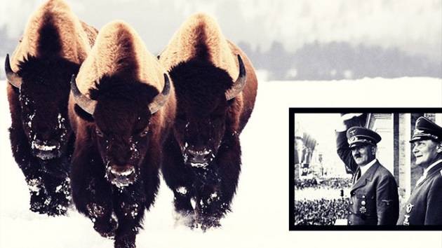 Adolf Hitler planeaba revivir bisontes de hace 9.000 años