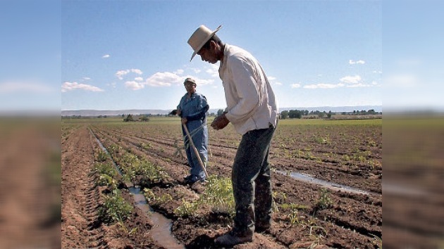 Gobierno de EE.UU. discrimina a granjeros hispanos