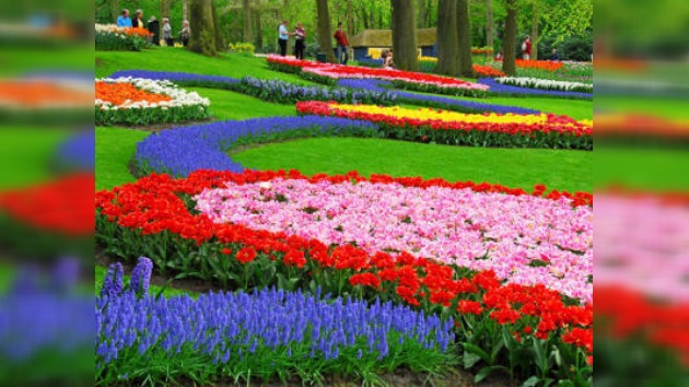 Millones de flores dedicadas a Rusia