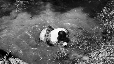 Un aventurero explica por qué decidió ser tragado por una anaconda gigante