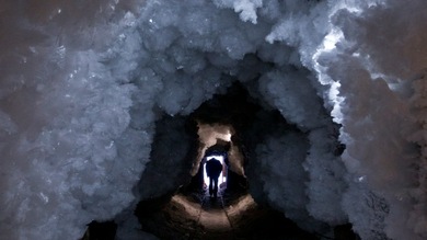Científicos rusos descubren un virus gigante en el antiguo permafrost en Siberia