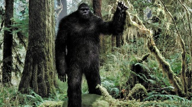 ¿Fin del misterio del yeti? Revelan la identidad del hombre de las nieves