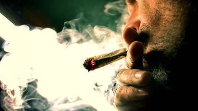 Marihuana legal: Bolivia, a punto de caminar por la misma senda que Uruguay