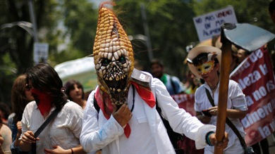Los frutos más terribles de las actividades de Monsanto