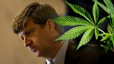 Ex senador de EE.UU.: La marihuana se convertirá en el nuevo tabaco