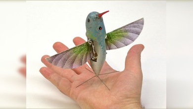 'Nanocolibrí', el nuevo 'agente de inteligencia' del Ejército de EE. UU.