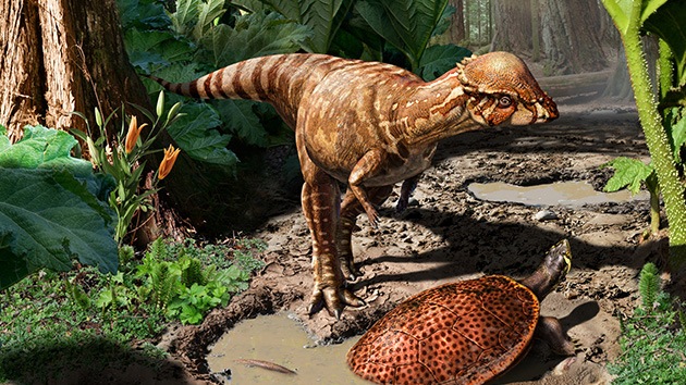 Encuentran en Canadá fósiles de una nueva especie de dinosaurios