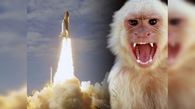 Irán lanzará al espacio una cápsula con un mono