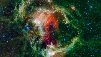 Cosmos