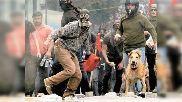 Un perro preside las manifestaciones de protesta en Grecia