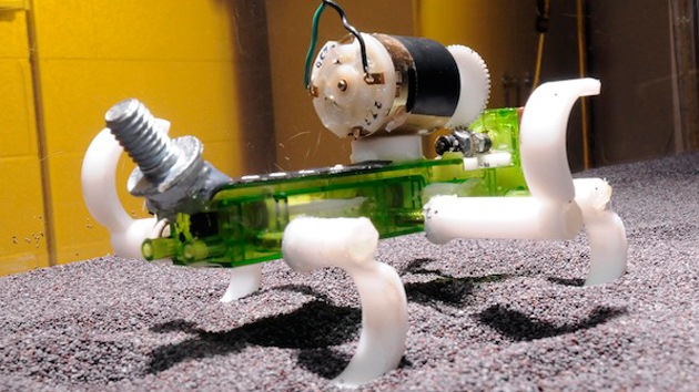 Crean un robot-lagarto capaz de correr por la arena