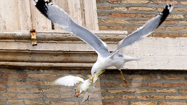 Italia: Los defensores de los animales piden al papa que no lance más palomas