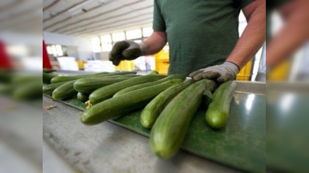 Rusia prohíbe la importación de hortalizas de la UE